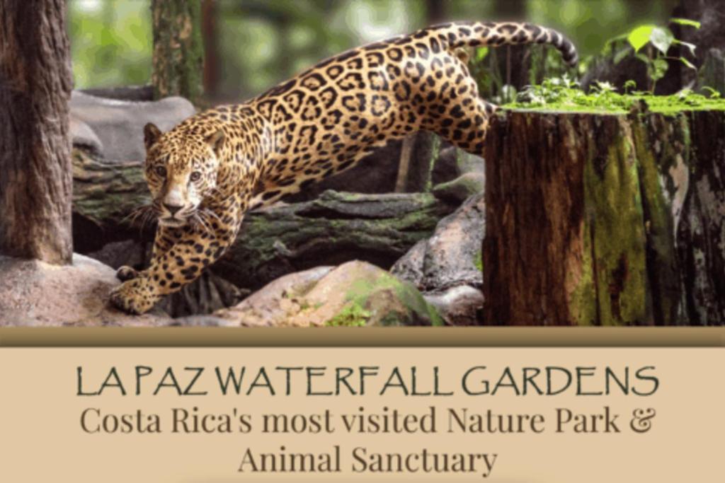 La Cabana Heredia Eksteriør bilde